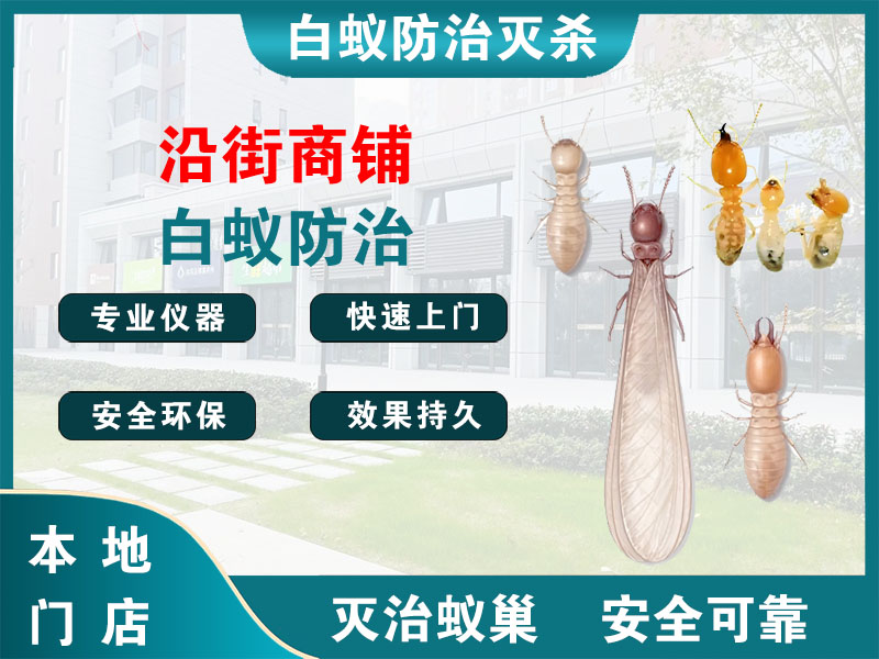 海州沿街商铺白蚁防治