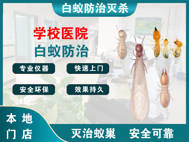 海州学校医院白蚁防治