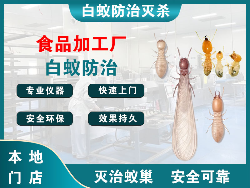 海州食品加工厂白蚁防治