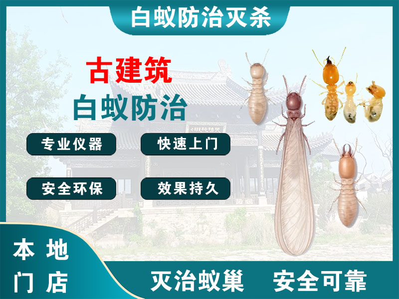 海州古建筑白蚁防治