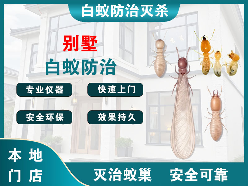 海州别墅白蚁防治